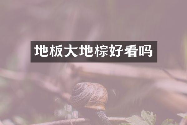 地板大地棕好看吗