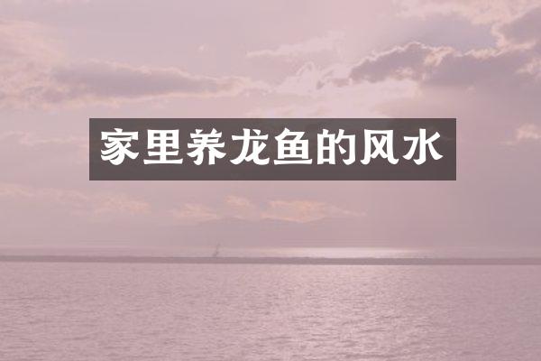 家里养龙鱼的风水