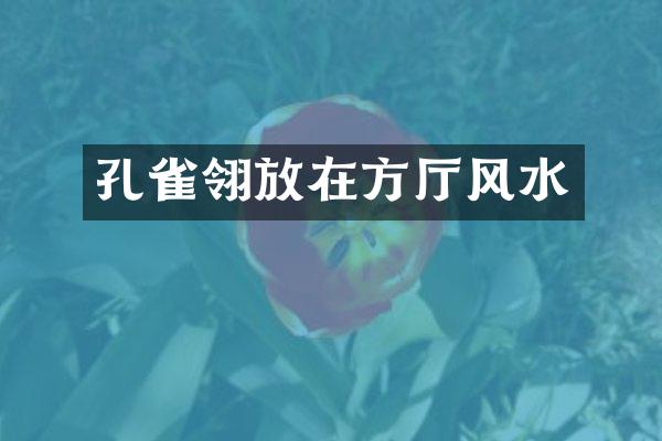 孔雀翎放在方厅风水