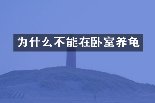 为什么不能在卧室养龟