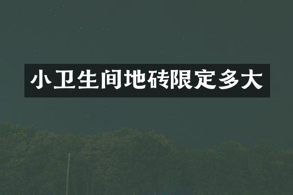 小卫生间地砖限定多大