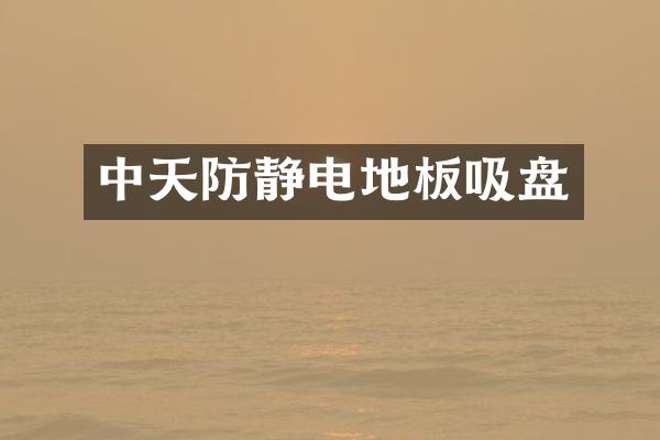 中天防静电地板吸盘