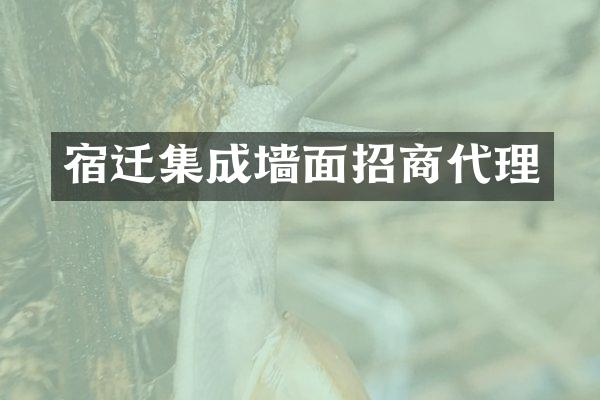宿迁集成墙面招商代理
