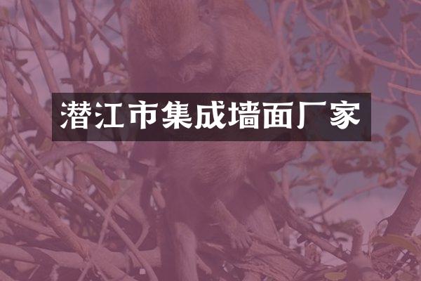 潜江市集成墙面厂家