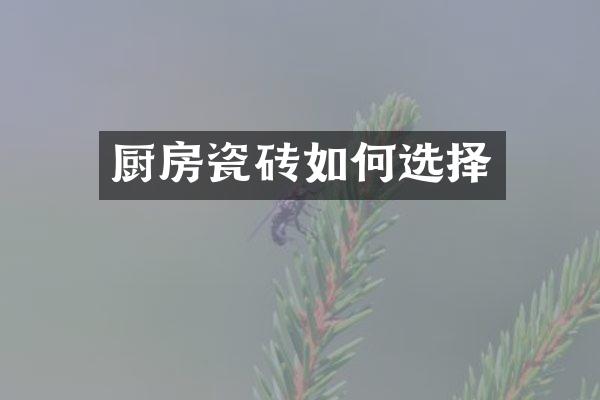 厨房瓷砖如何选择