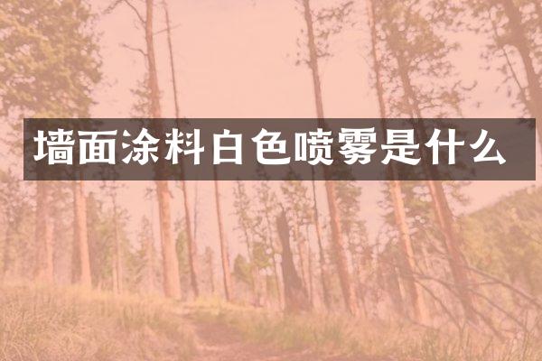 墙面涂料白色喷雾是什么