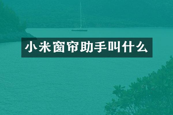 小米窗帘助手叫什么