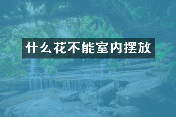 什么花不能室内摆放