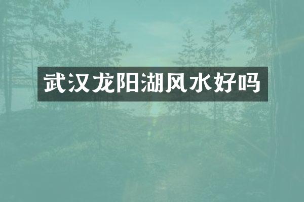 武汉龙阳湖风水好吗