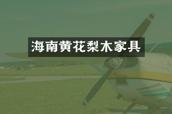 海南黄花梨木家具