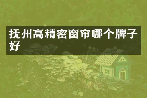 抚州高精密窗帘哪个牌子好