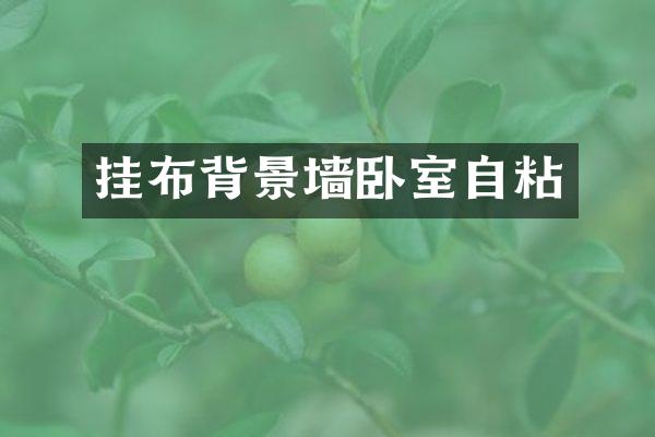 挂布背景墙卧室自粘