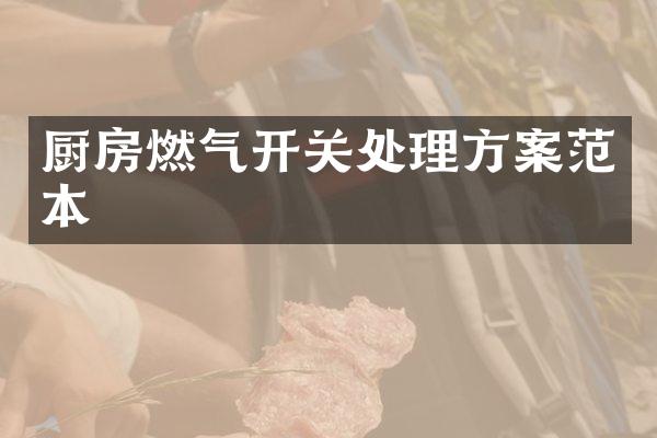 厨房燃气开关处理方案范本