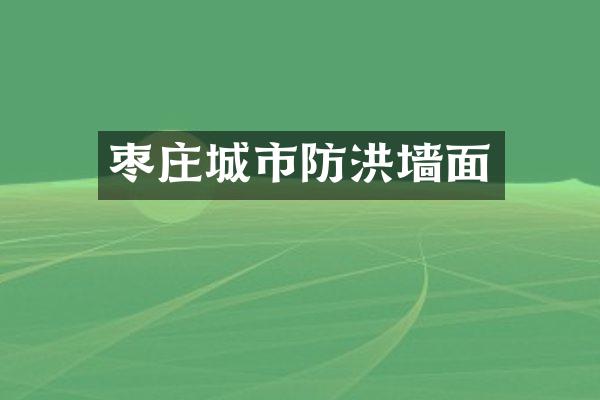 枣庄城市防洪墙面