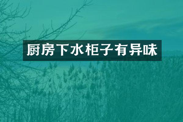 厨房下水柜子有异味