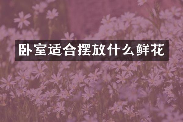 卧室适合摆放什么鲜花