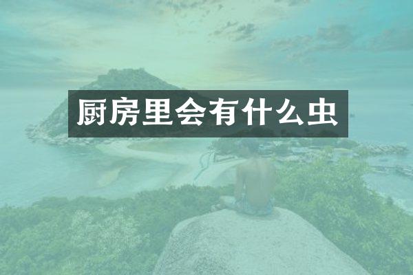 厨房里会有什么虫