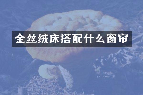 金丝绒床搭窗帘
