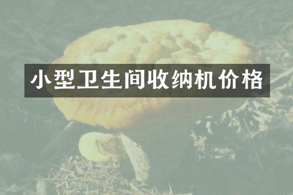 小型卫生间收纳机价格
