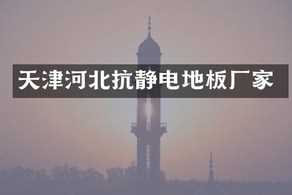 天津河北抗静电地板厂家