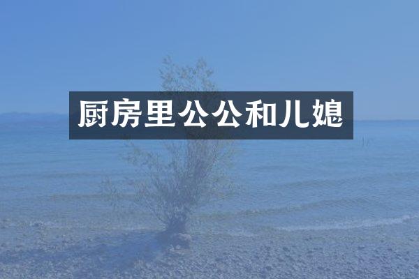 厨房里公公和儿媳