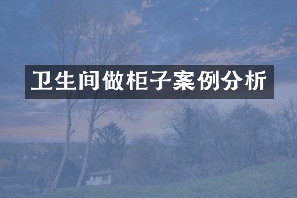 卫生间做柜子案例分析