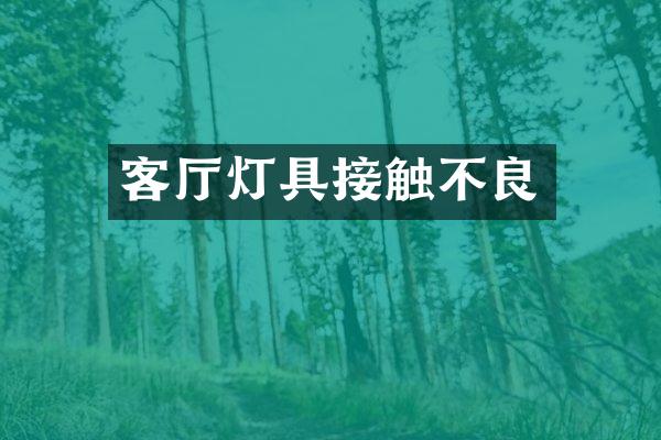 客厅灯具接触不良