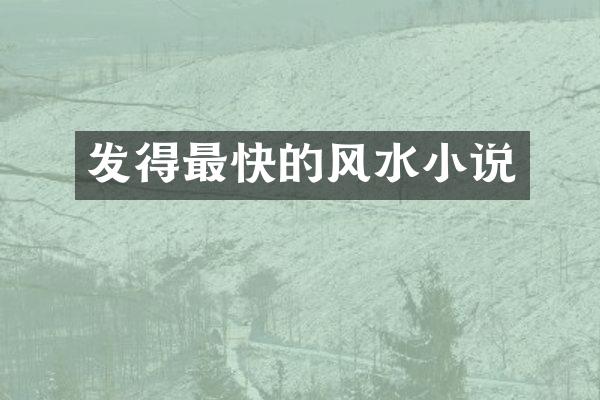 发得最快的风水小说