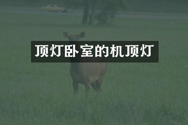 顶灯卧室的机顶灯