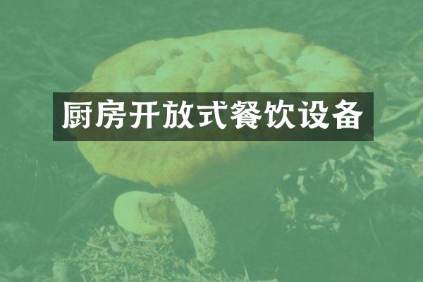 厨房开放式餐饮设备