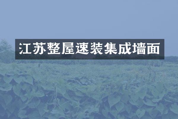 江苏整屋速装集成墙面