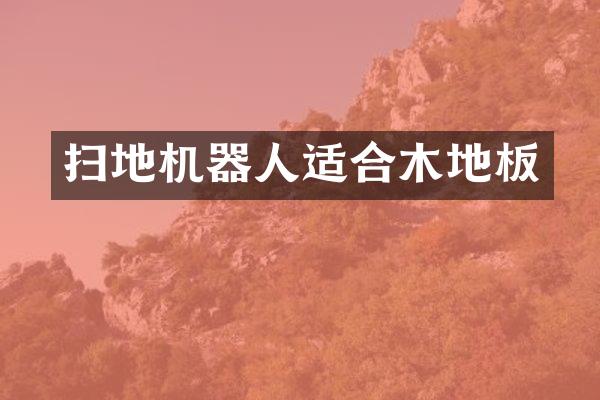 扫地机器人适合木地板