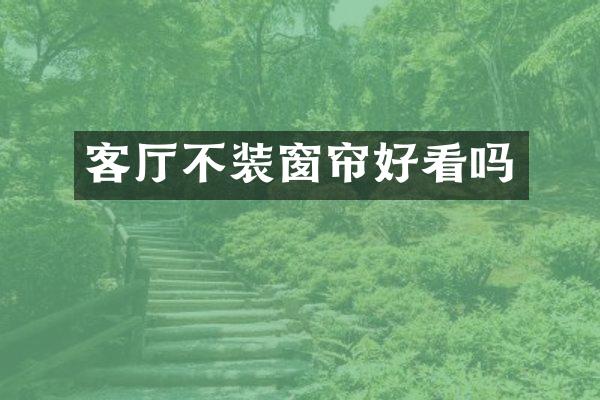 客厅不装窗帘好看吗
