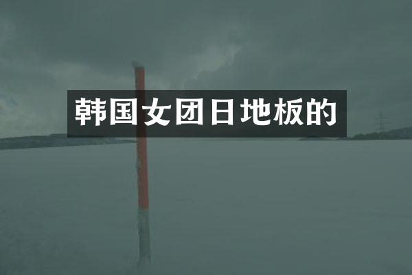 韩国女团日地板的