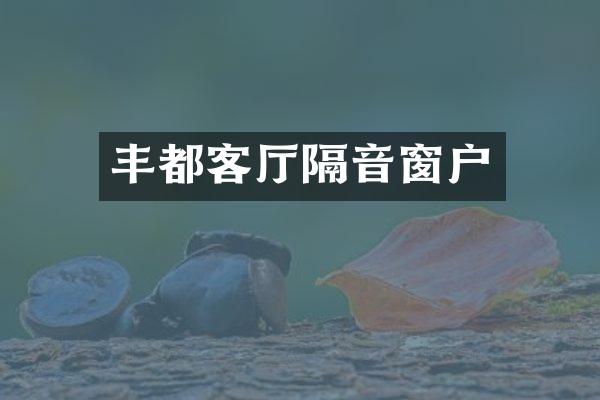 丰都客厅隔音窗户