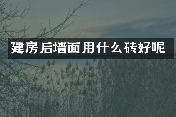 建房后墙面用什么砖好呢