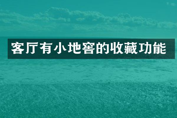 客厅有小地窖的收藏功能