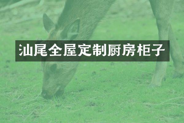 汕尾全屋定制厨房柜子