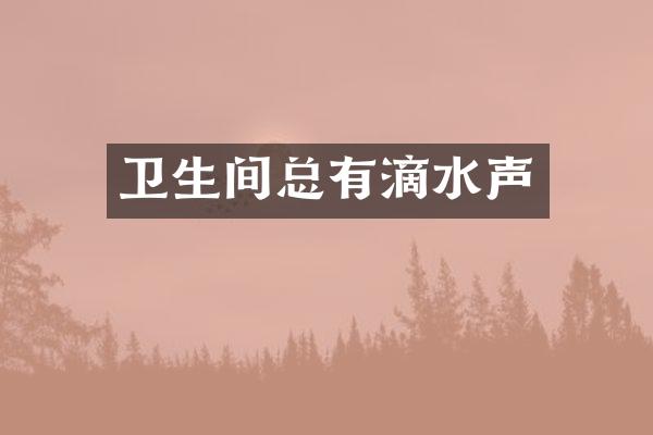 卫生间总有滴水声