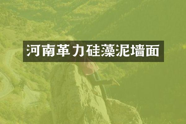 河南革力硅藻泥墙面