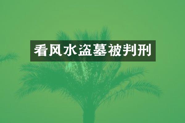 看风水盗墓被判刑