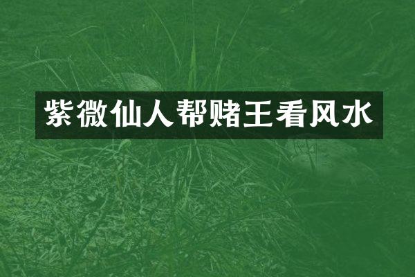 紫微仙人帮赌王看风水