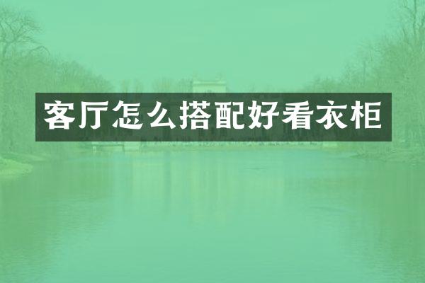 客厅怎么搭配好看衣柜