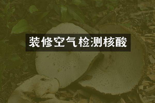装修空气检测核酸