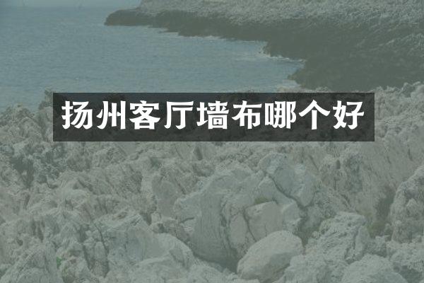 扬州客厅墙布哪个好