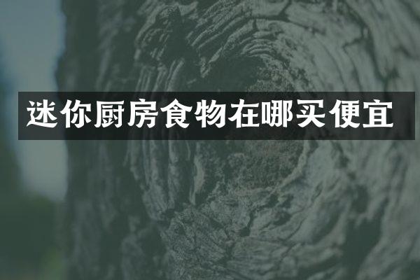 迷你厨房食物在哪买便宜