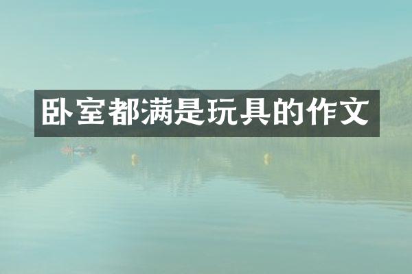 卧室都满是玩具的作文