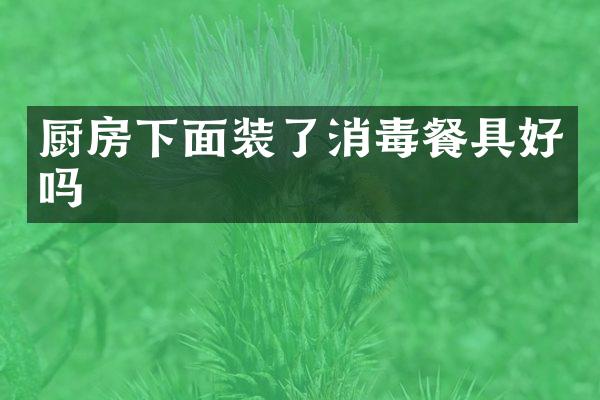 厨房下面装了消毒餐具好吗