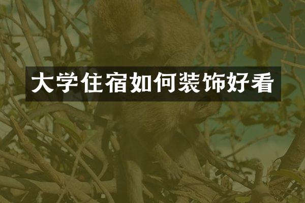 大学住宿如何装饰好看