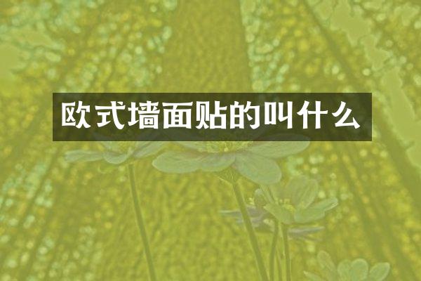 欧式墙面贴的叫什么